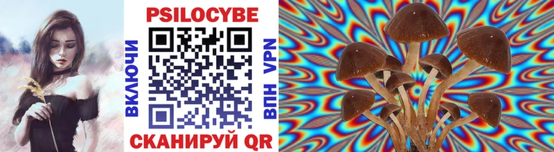 наркошоп  Камызяк  Псилоцибиновые грибы Cubensis 